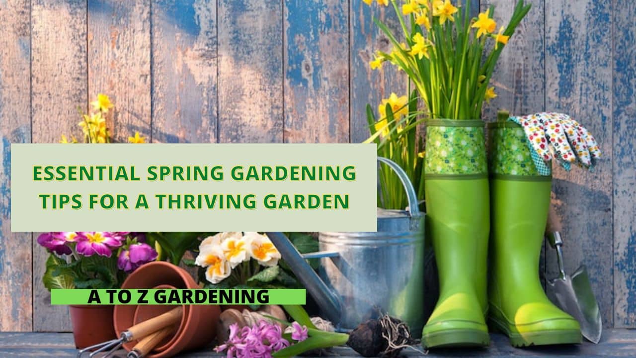 Seasonal Gardening Guide for a Thriving Home Garden