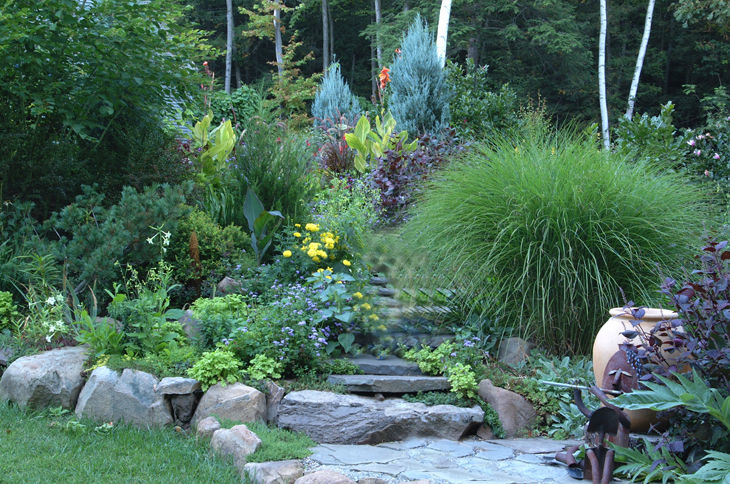 How to Create a Low-Maintenance Home Garden